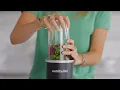nutribullet Pro 1200 Setting up the personal blender for first use