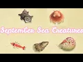 All Sea Creatures You Can Catch In SEPTEMBER In Animal Crossing New Horizons Northern Hemisphere