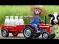 Download Lagu ToTo Monkey Drives a Tractor: From Raising Dairy Cows to Producing Fresh Milk - ToTo Farm