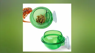 Tnfeeon Suction Cup Feeder Bowl