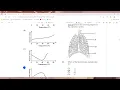 CSEC Biology 2022 Paper 1 Solutions