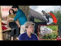 Download Lagu De brute regen, zal Huyền de dodelijke val overleven? #lifesingle