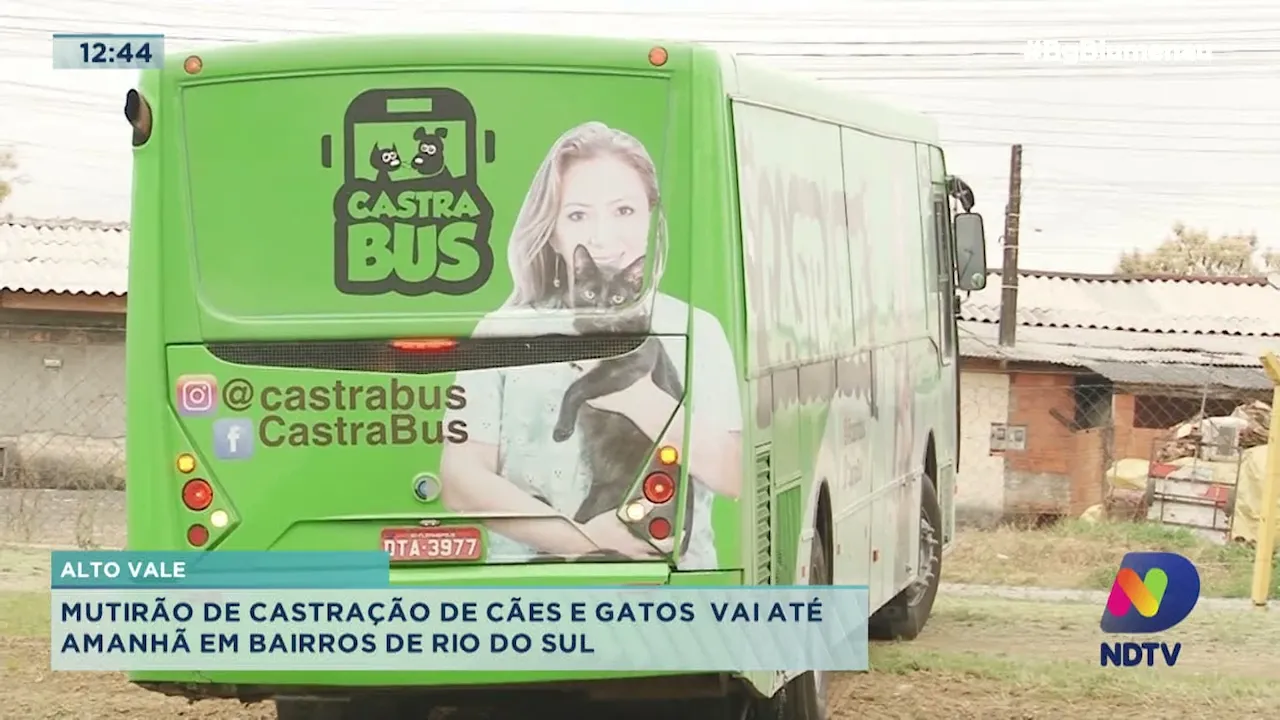Mutirão de castração de cães e gatos é realizado no Alto Vale
