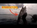Download Lagu BARRACUDA 👆/JP AMBOY VLOG |#fishing #fish #spearfishingphilippines #PESCA
