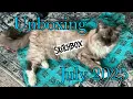 Download Lagu Unboxing July 2025 Premium Sketchbox