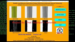 Paddy Plant Disease Detection Using Python Code Paddy Leaf Disease Classification Using CNN Code