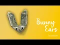 Fold Bunny Ears from a Dollar Bill Easy and fast Money Origami - Creative Easter Gift Idea