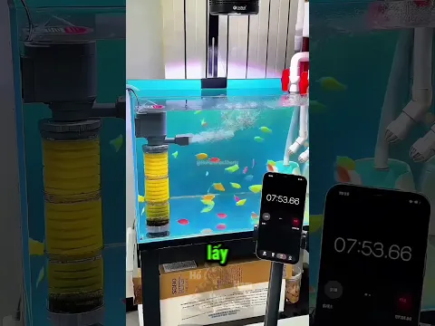 Tại Sao Màng Lọc Không Trong Suốt? 🧐