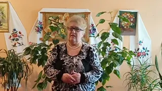 Не та роза що за садом  Не та роза що за садом