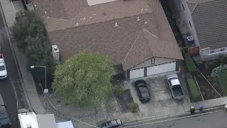 Man arrested in deadly shooting of mother and son in Pleasanton police say