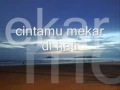 Download Lagu M.A.Y - Cintamu Mekar Dihati