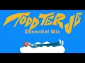 Todd Terje - Mixtape - Essential Mix 2013