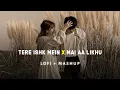 Lagu Tere Ishk Mein × Mai Aa Likhu – Trending Lofi Mashup 2025 | Slowed \u0026 Reverb 
