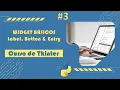 Curso de Tkinter Domina Widgets Basicos en Aplicaciones Graficas - Label Button Entry E03