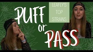 Puff or Pass on Leafly s Top Strains Stoned Marlee