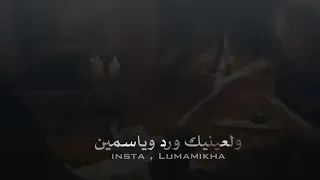 خذني ليك ولعينيك ورد وياسمين حالات واتس اب 