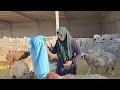 Grandmother Thanks Her Son ❤️ Hashim Is Heartbroken as His Family Leaves! 😢