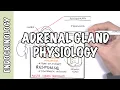 Endocrinology - Adrenal Glands