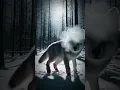 Download Lagu 🐺Injured and Alone: Can This Wolf Survive the Harshest Winter?