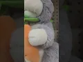 Easter stuff at cvs for 2025