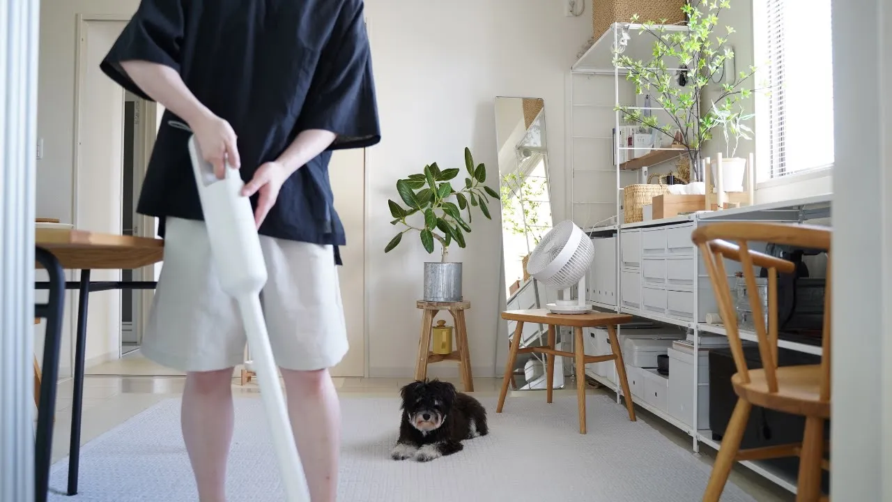 【理想と現実】犬と暮らす家をきれいに保つお掃除ルーティン