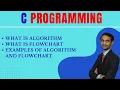 algorithm in c language in English in 15 minutes Flowchart in C Easy Explanation with Examples