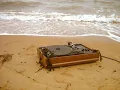 The Platters - Washed Ashore