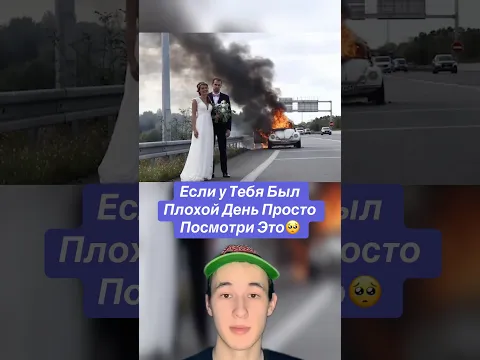 Если у Тебя Был Плохой День Просто Посмотри Это!🥺 #shorts #собака #животные #паук