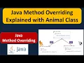 Java Method Overriding Explained with Animal Class Java Tutorial