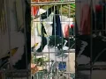 Download Lagu suara burung ini seperti suara bayi menangis 😂