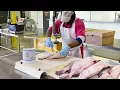 A day at Safe Harbor Seafood