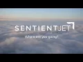 Sentient Jet Celebrates 20 Years