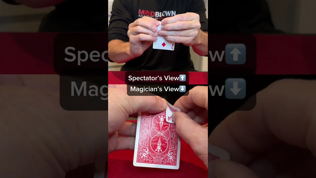Magicians View