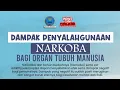 Download Lagu Dampak Penyalahgunaan Narkoba Bagi Organ Tubuh Manusia