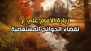 زيارة الامام علي ع لقضاء الحوائج لكل من لديه حاجة مستعصية