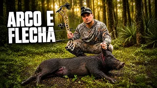 ARCO E FLECHA VS JAVALI SELVAGEM - CAÇADA COMPLETA