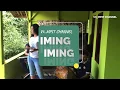 Download Lagu Iming Iming #cover (edisi latihan) || V3_Mpit