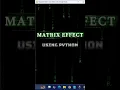The Matrix Effect - Made With Python