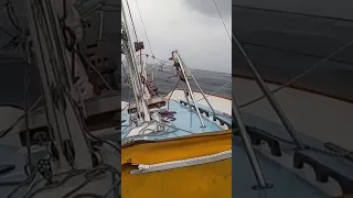 Building Wind 💨