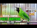 Download Lagu CUCAK IJO GACOR ISIAN TEMBAKAN RAPAT !! Pancingan Cucak Ijo Muda \u0026 Macet Langsung Emosi Bisa Jamtrok