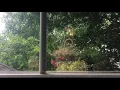 Minimalist piano using keys from The How of It Sped - Bing & Ruth