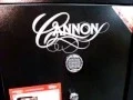 CANNON SAFE REVIEW