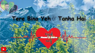 tere bina yeh dil tanha hain heart touching song new hindi song 2025 