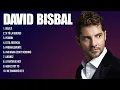 Download Lagu David Bisbal Latin Songs Playlist Full Album ~ Best Songs Collection Of All Time