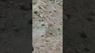 إطلاق رصاصة حارق خارق على الصخر كلاشنكوف شرمة 7 62mm API Shorts 