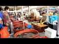 Download Lagu Geweldig! Vissnijder Meester! , Koreaans streetfood