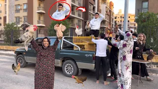 لما تنزل مع امك السوق وتخليك تبيع فراخ السلسيلي 