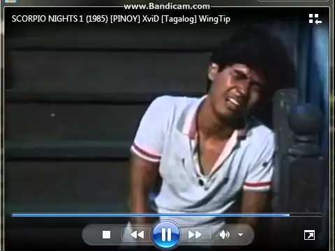 scorpion nights