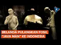 Lagu Belanda Pulangkan Fosil \