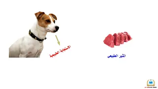   نظرية التعلم الشرطى الكلاسيكى عند بافلوف  علم نفس ثالثة ثانوى نظام جديد          دندنها